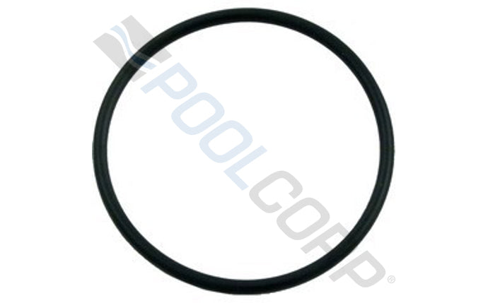 2" Flush Union O-Ring