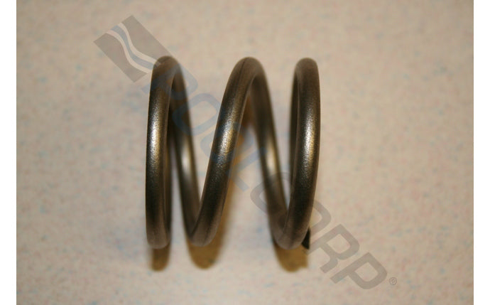 Hayward Multiport Valve Spring