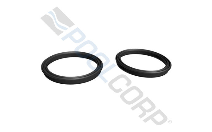 Hayward Union Gasket