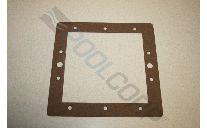 Face Plate Gasket