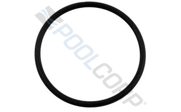 CL100 CL110 VITON LID ORING