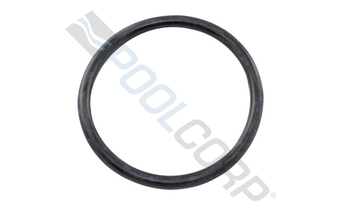 2" UNION/ BULKHEAD ORING
