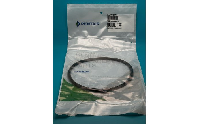 Pentair Whisperflo oring