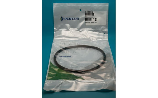 Pentair Whisperflo oring