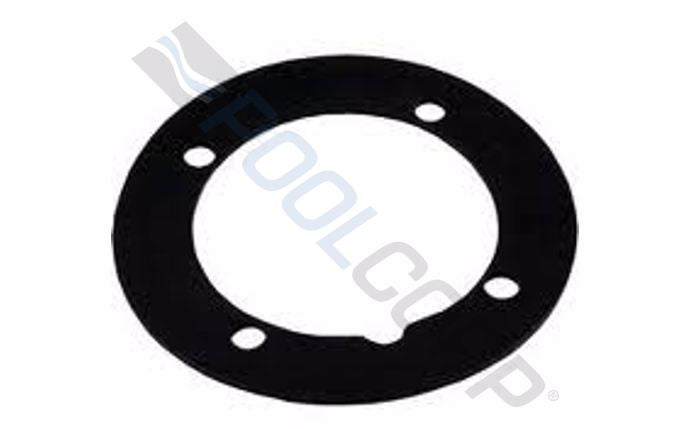 VINYL INLET FITTING GASKET